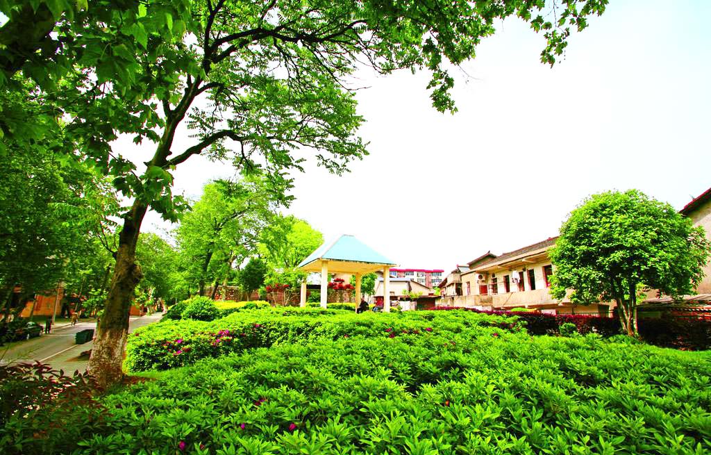 1502676140590525.jpg 1502676140590525.jpg