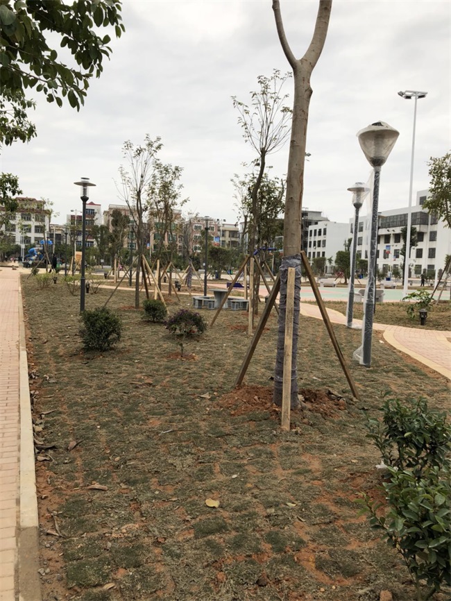 1520217332260342.jpg 臚溪文體廣場 (7).jpg